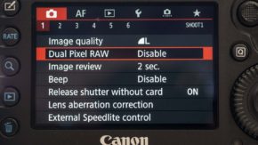 Canon 5D Mark IV Dual Pixel Raw option