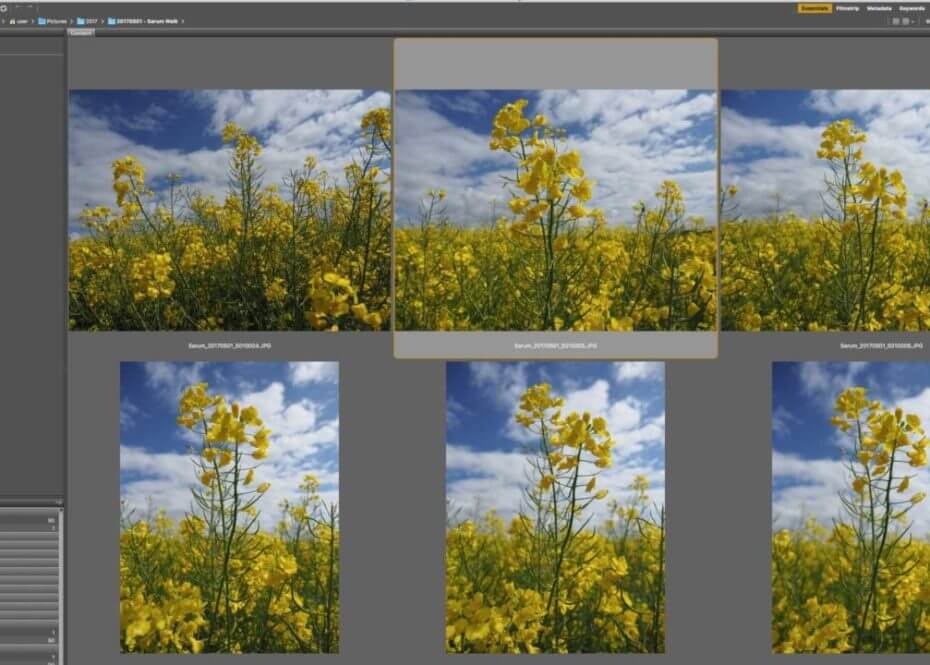 Download and organise your images