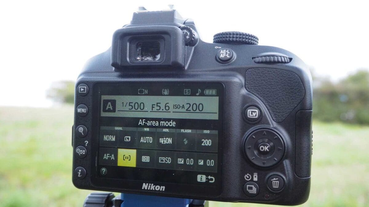 What are the Nikon D3400’s focus modes?