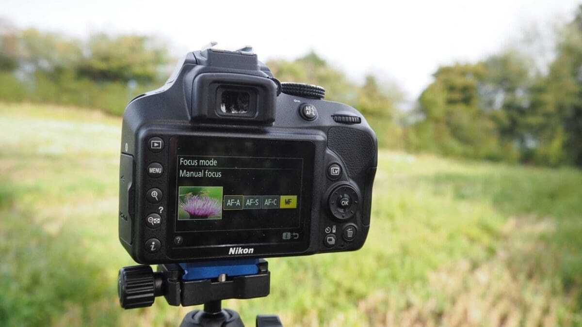 Nikon D3400 Video Modes Explained