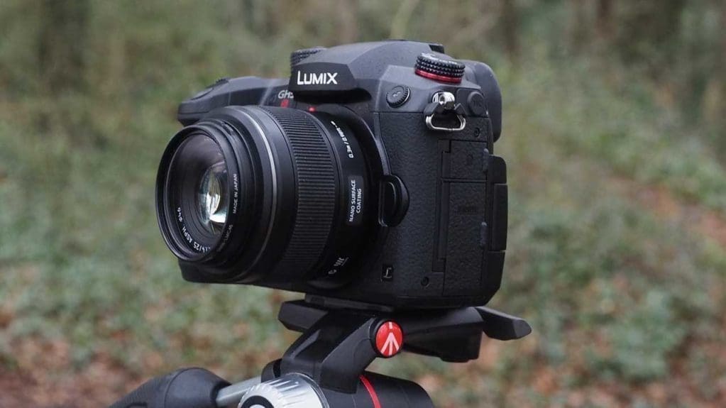 Panasonic GH5S