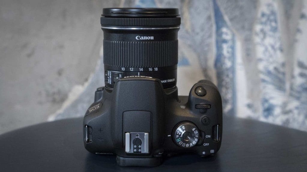 Canon EOS 2000D / Rebel T7 vs Canon EOS 4000D / Rebel T100: What are the  differences? - Camera Jabber