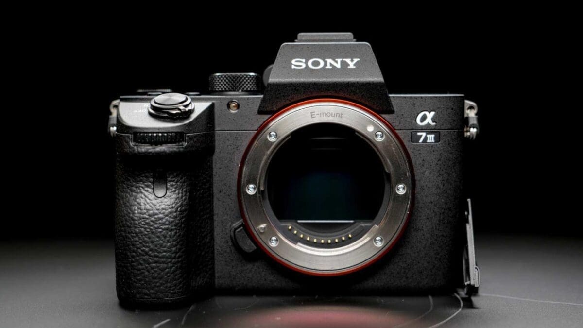 Sony A7 III and A7R III review: mirrorless magic - The Verge