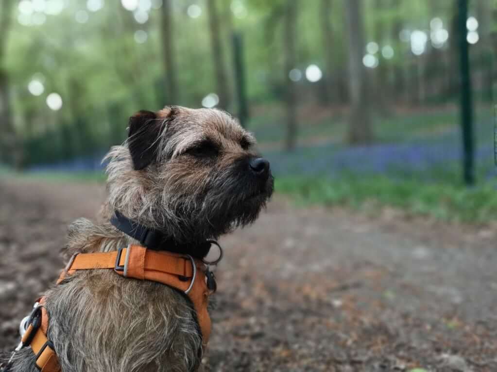 Huawei P20 Pro vs Medium Format and Full-Frame