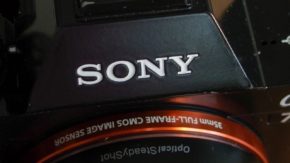 Sony: Animal Eye AF coming soon