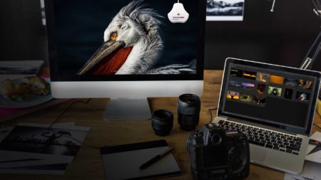 How to setup and change monitor profiles for video and stills