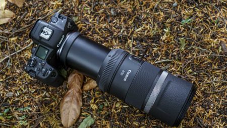 Canon RF 100-400mm F5.6-8 IS USM first impressions Review - Camera