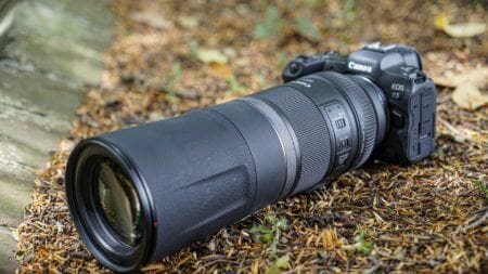 Canon RF 800mm f11 IS STM review