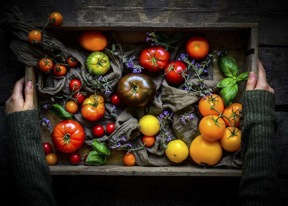 Donna Crous: Pink Lady Food Photographer of the Year Awards changed my life