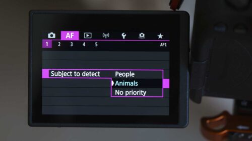 How to use Canon Eye Detection - Camera Jabber
