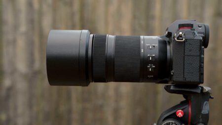 Panasonic Lumix S 70-300mm f/4.5-5.6 review