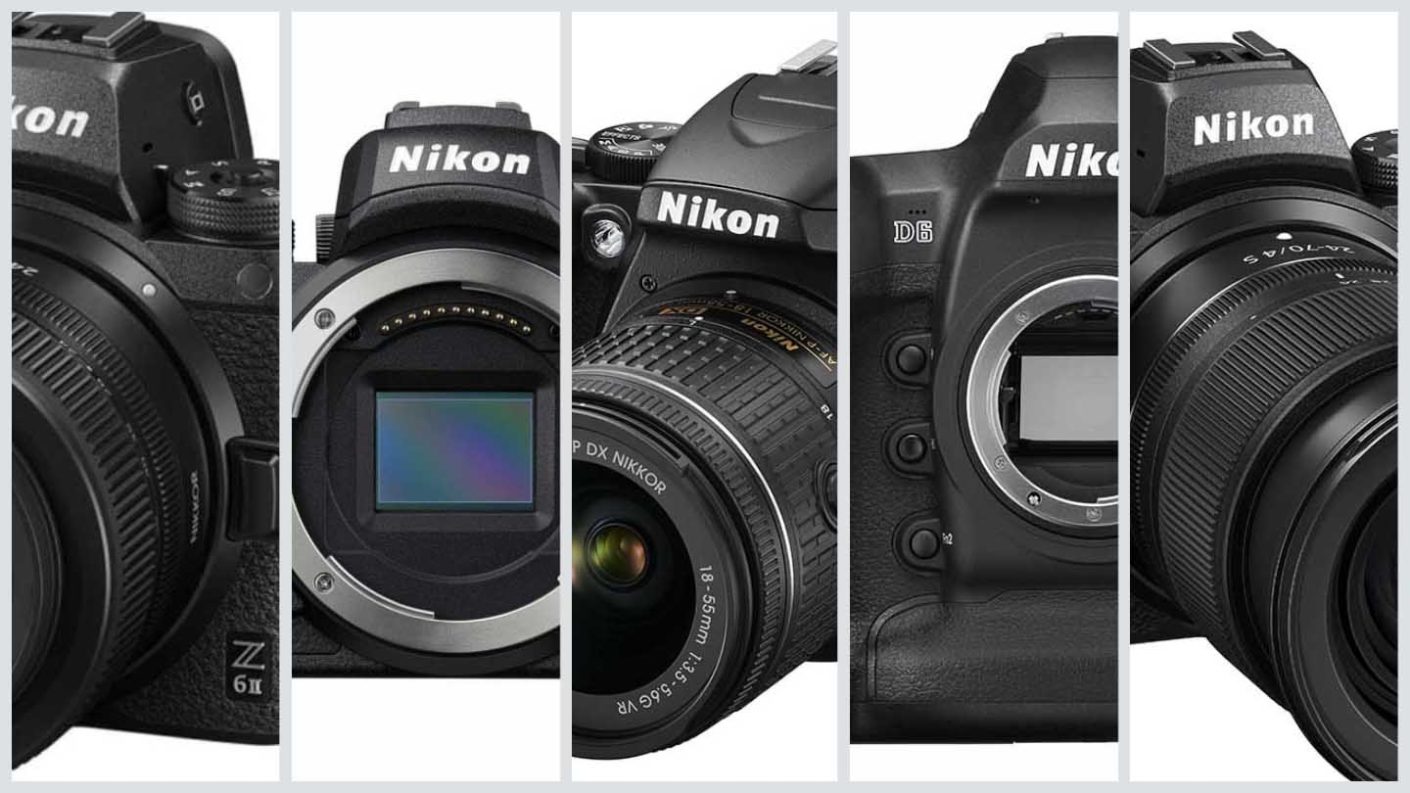 Terugspoelen Vruchtbaar herfst Best Nikon cameras in 2023 - Camera Jabber