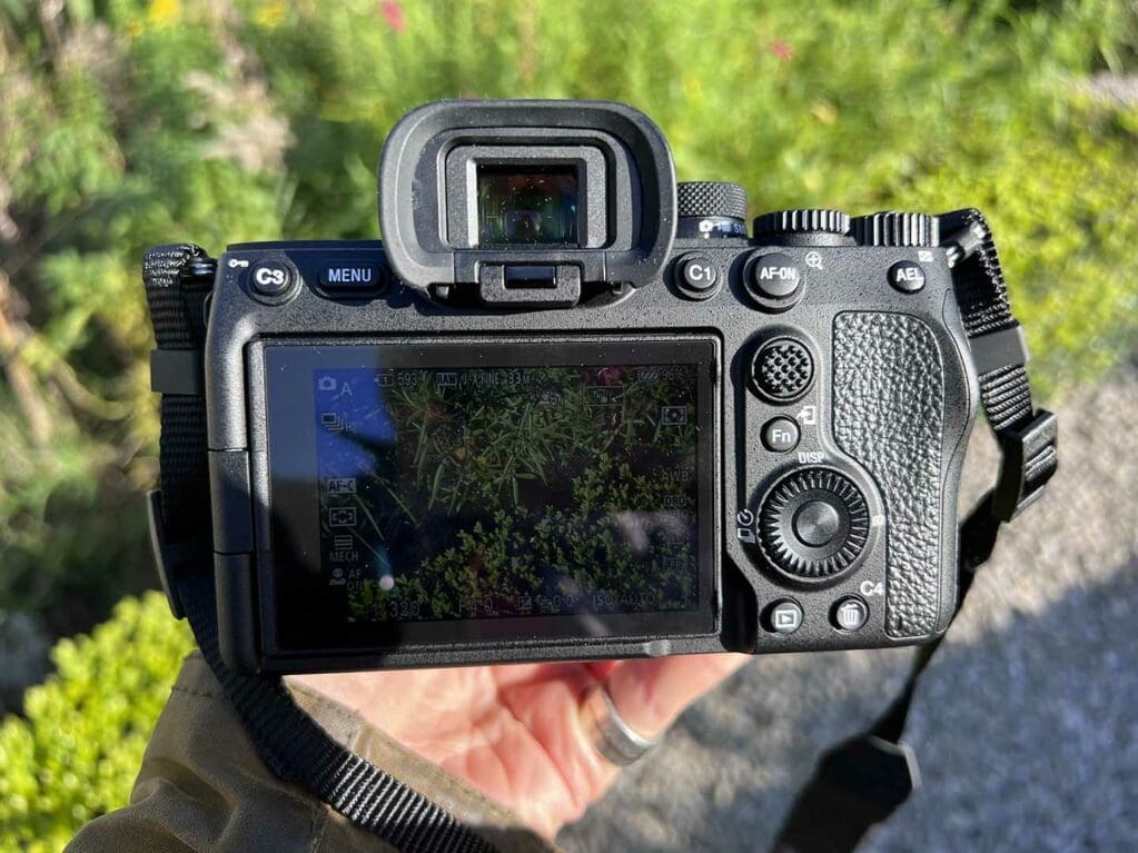 How do you customise the Sony A7 III? - Camera Jabber