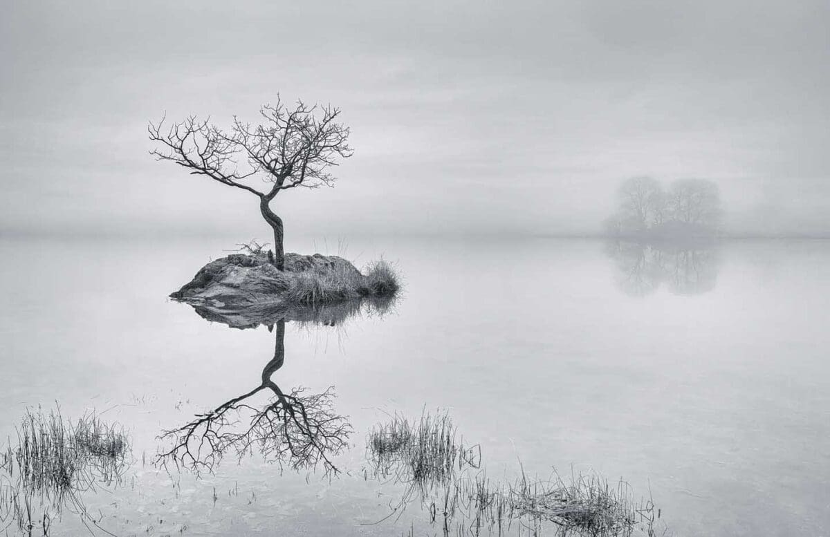 CJPOTY November 2023 'The World in Black and White' shortlisted images