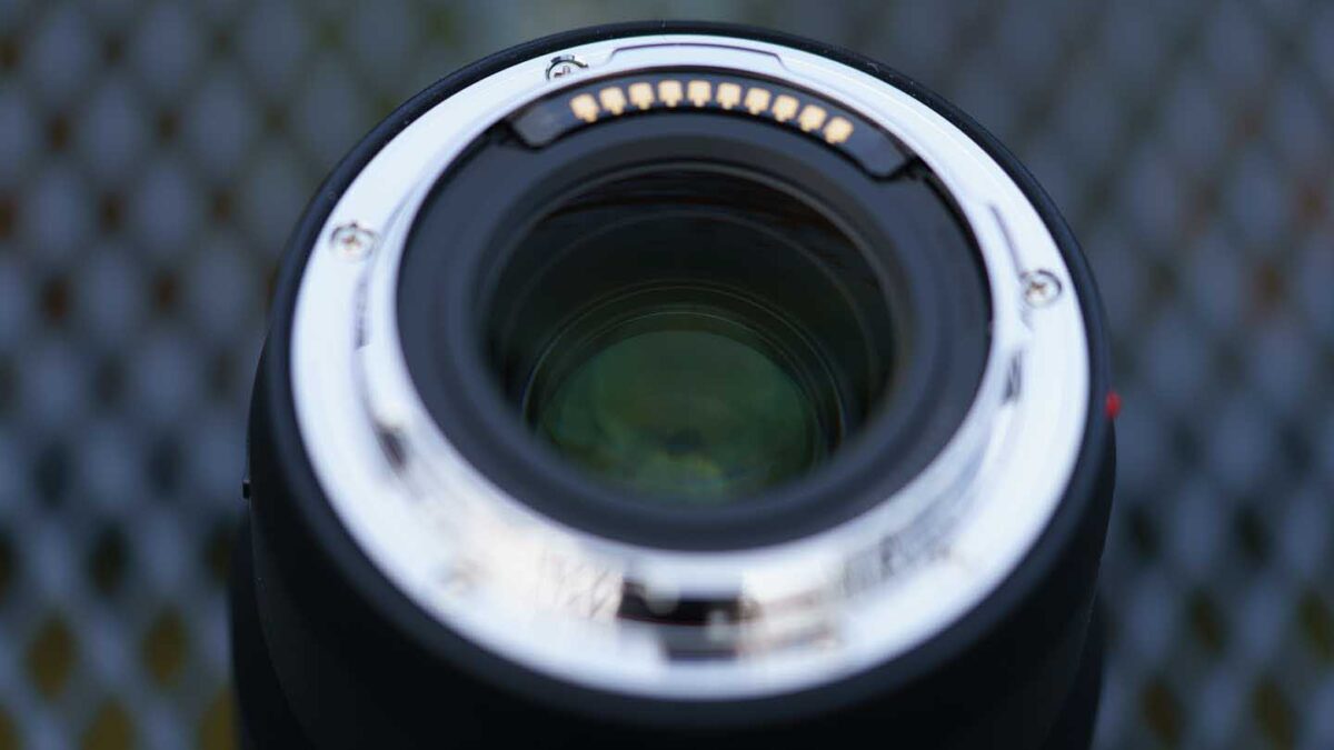 Panasonic Lumix S 100mm F2.8 Macro review - metal lens mount
